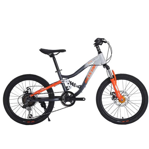 Variable speed bicycle, fully suspended mountain bike 