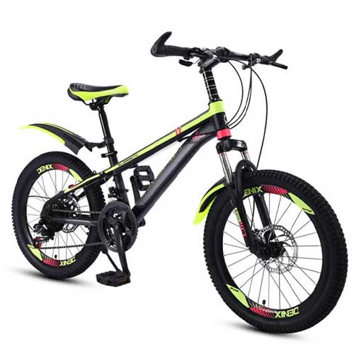 Student Adult Mountain Bike