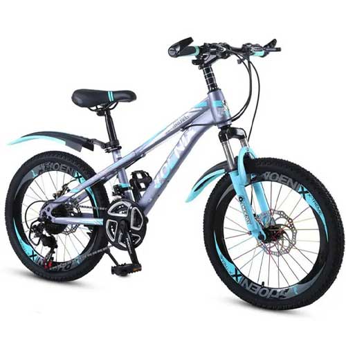 Student Adult Mountain Bike